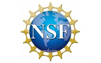 NSF logo